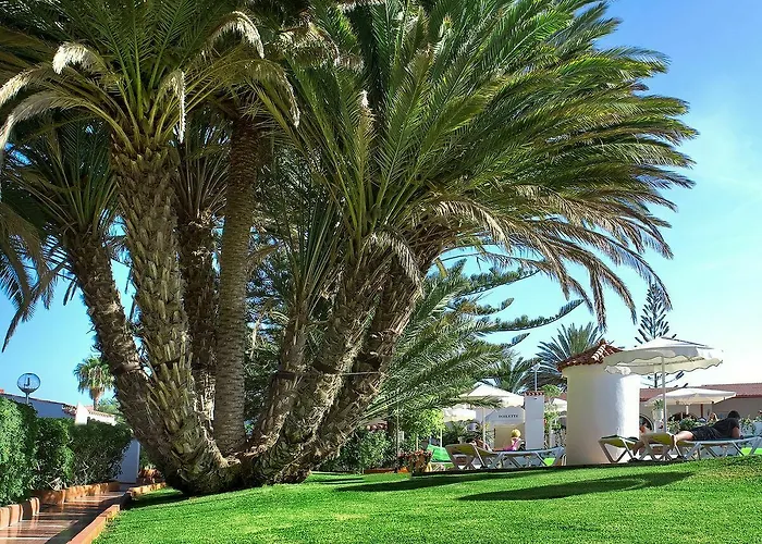 アパート Parque Del Paraiso Ii プラヤ・デル・イングレス